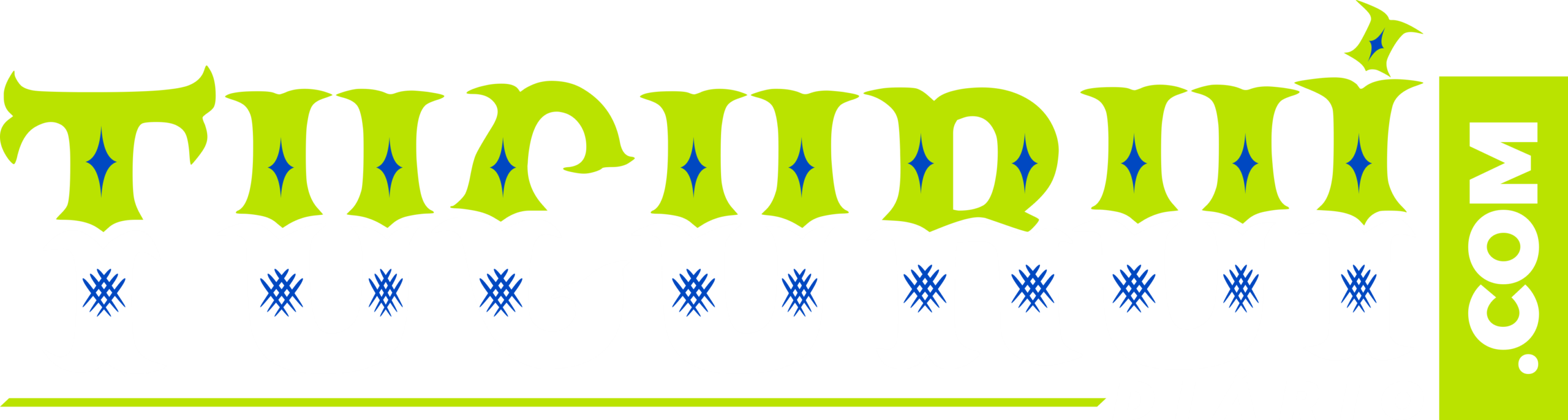 tucuruidiario.com